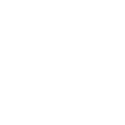 servers